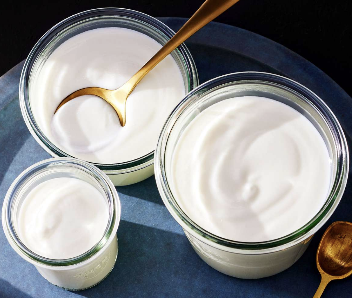 SCD Yogurt
